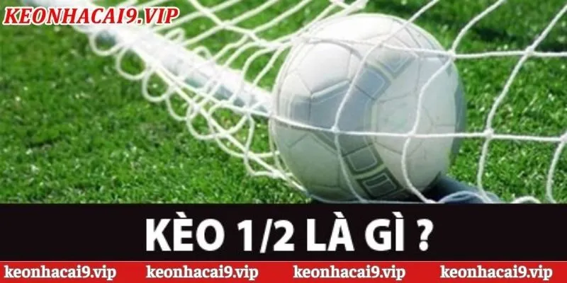 Các trường hợp tính tiền trong kèo nhà cái chấp 1/2 trái