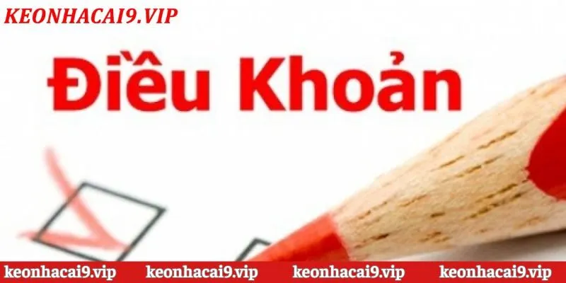 Điều khoản & điều kiện mới nhất mà người truy cập cần nắm rõ