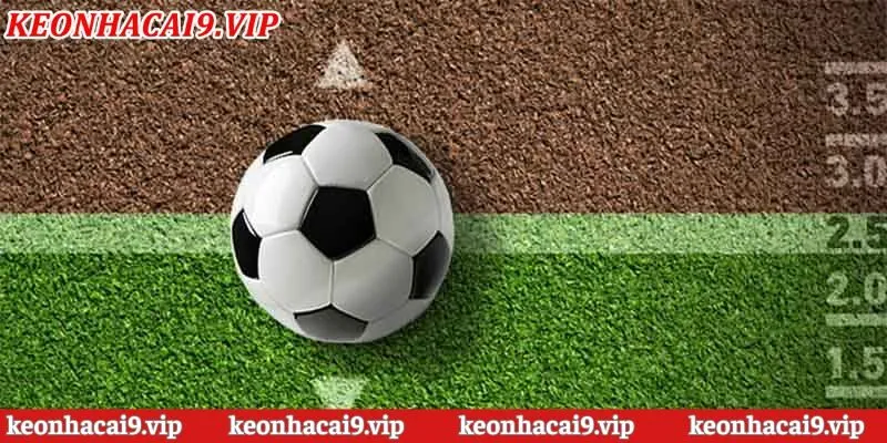 Giới thiệu nhanh về nền tảng Kèo Nhà Cái cực hot hiện nay