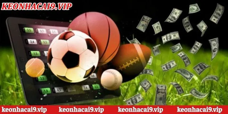 Hệ thống nội dung của nền tảng Kèo Nhà Cái