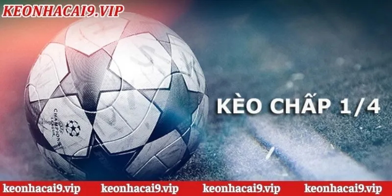 Hướng dẫn cách đọc kèo nhà cái chấp 1/4 trái đúng chuẩn