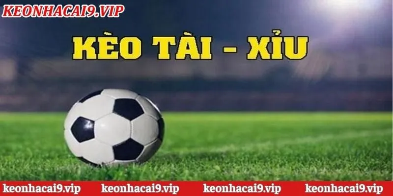 Kèo Nhà Cái Tài Xỉu