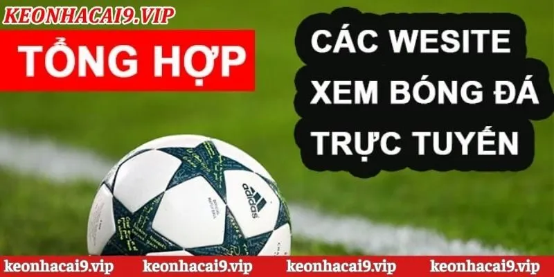 Lý do vì sao link xem bóng đá chất lượng cao luôn được săn đón