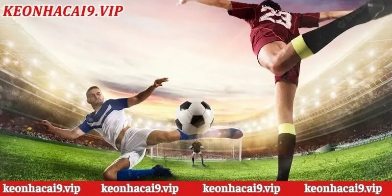 Những lý do khiến link xem bóng đá trực tiếp Xoilac được yêu thích