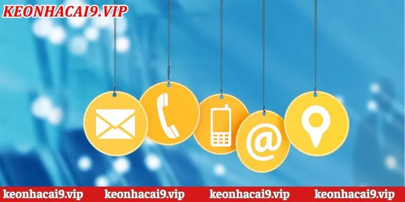 Lợi ích khi người dùng liên hệ đến với đội CSKH website