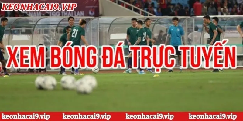 Những phương pháp để nhận biết link xem bóng đá chất lượng cao đúng