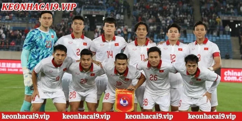 Phương pháp soi kèo nhà cái bóng đá Việt Nam cho từng giải đấu